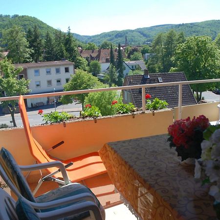 Ferienwohnung-Bergblick บัดฮาร์ซบวร์ก ภายนอก รูปภาพ